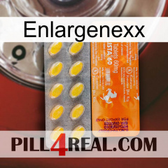 Enlargenexx new05